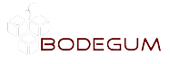 bodegum-logo-removebg-preview.png